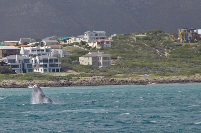 Crayfish Lodge Sea & Country Guest House Gansbaai Exterior photo